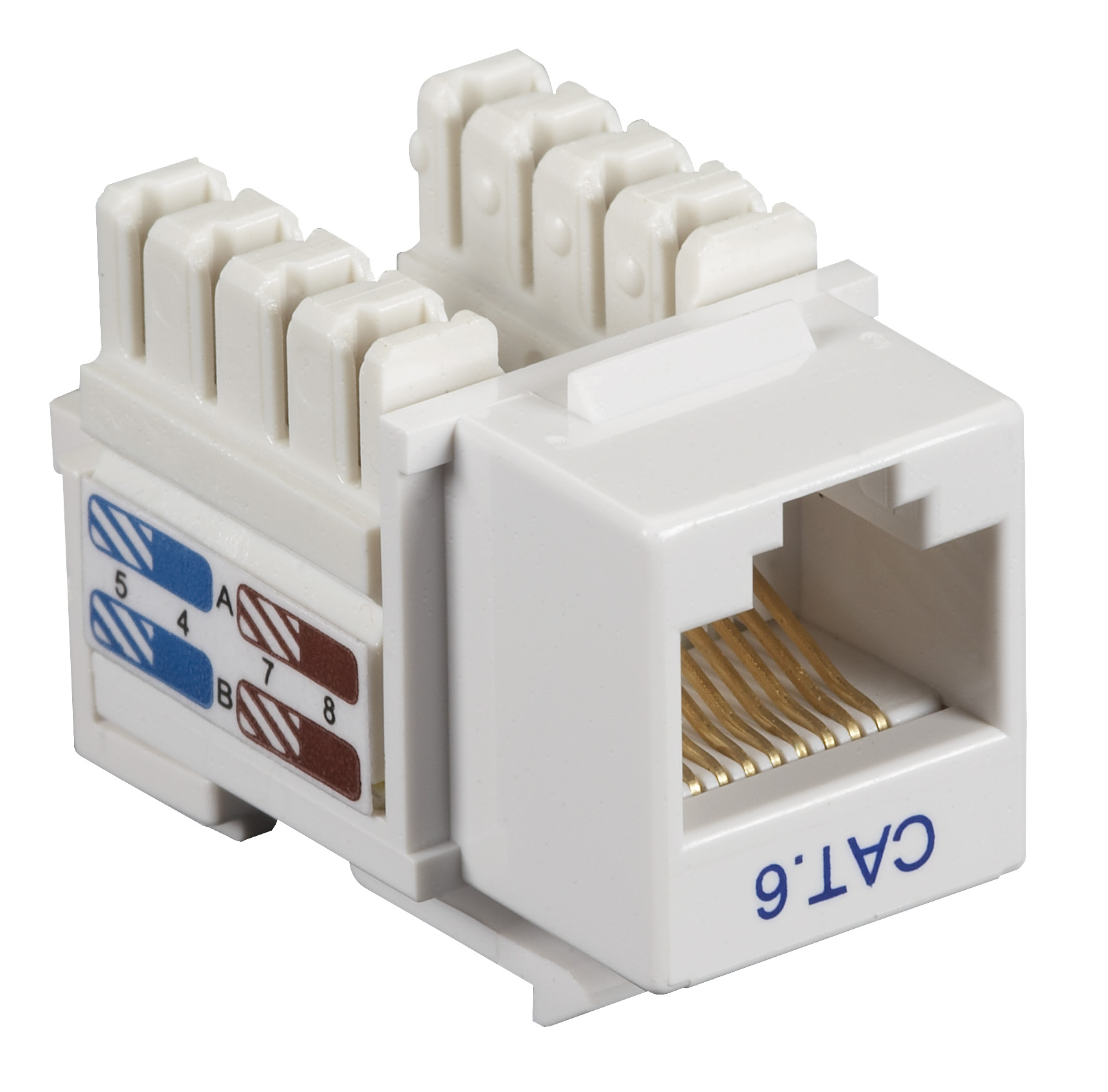 BELDEN CAT6A Jack White