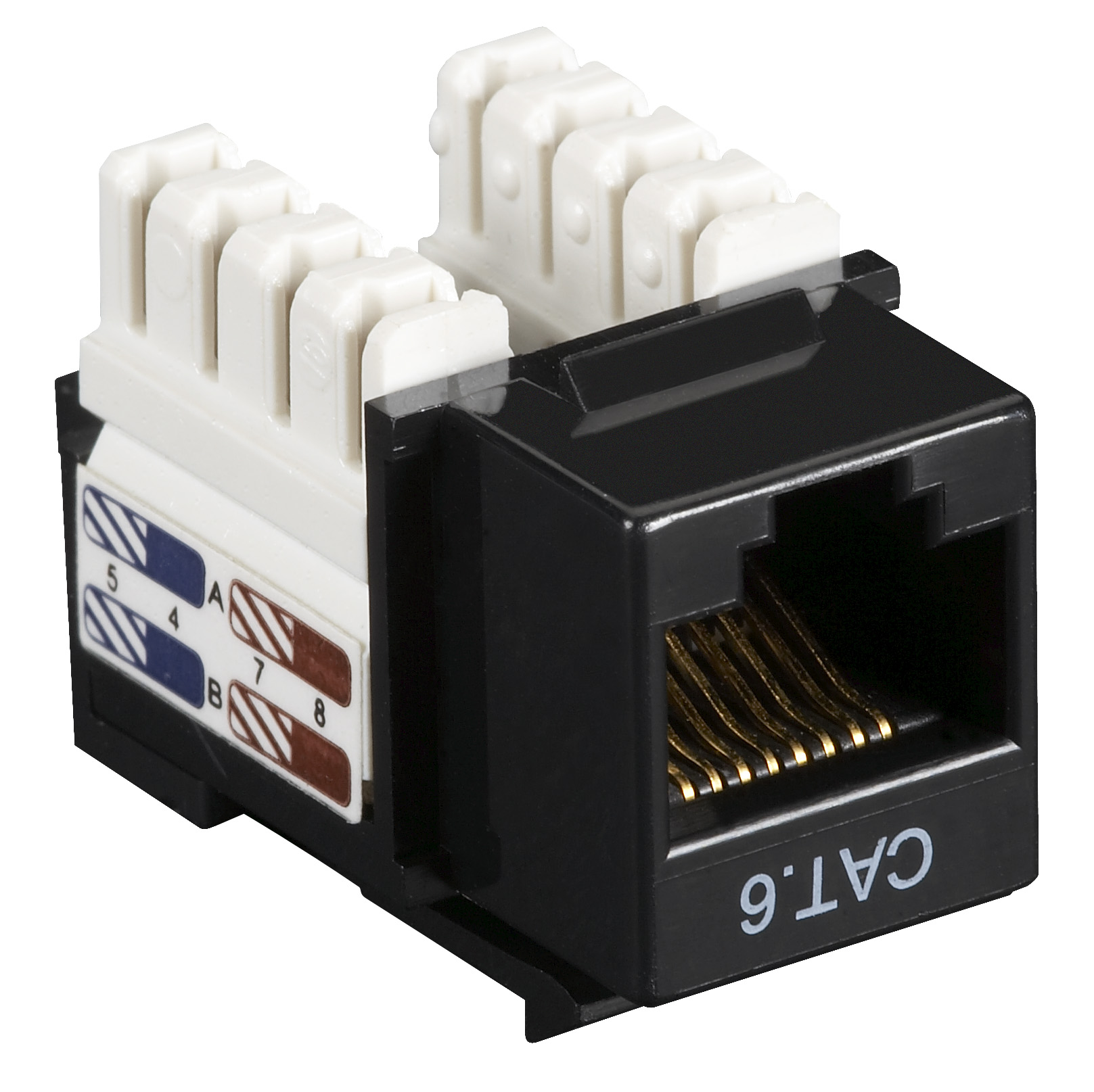 BELDEN CAT6 Jack Black